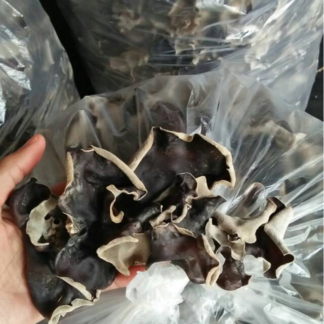 

[SIAP KIRIM] JAMUR KUPING HITAM 500gram