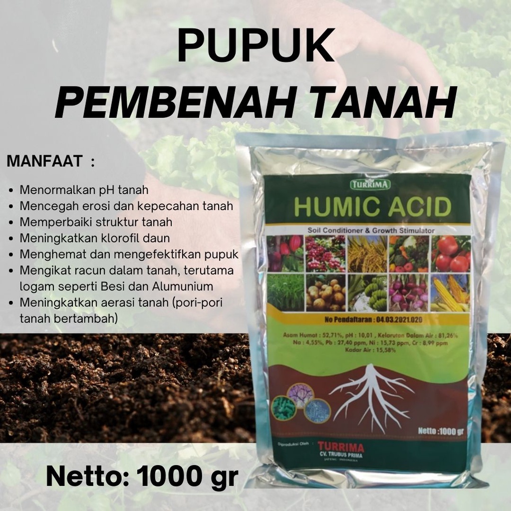 PUPUK HUMIC ACID
