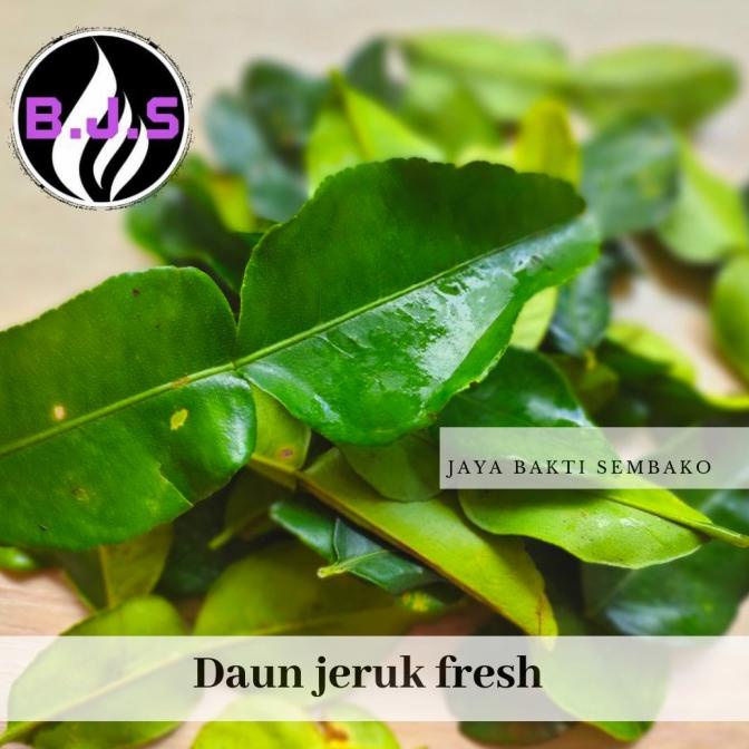 

BEST SALES DAUN JERUK SEGAR 500 GRAM ORIGINAL