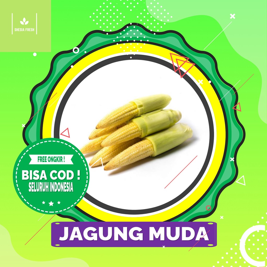 

Shesia Fresh - Jagung Muda Organik 250 gram