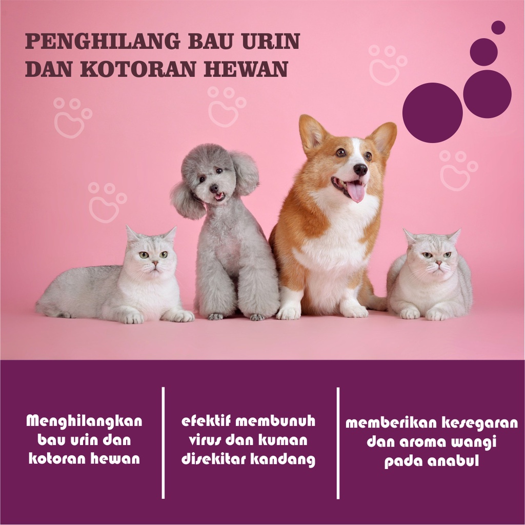 PEECLEAN Penghilang Bau Pesing Pipis dan Kotoran Kucing Anjing Kelinci Disenfektan Kandang Hewan ORIGINAL PEE CLEAN FEZONE