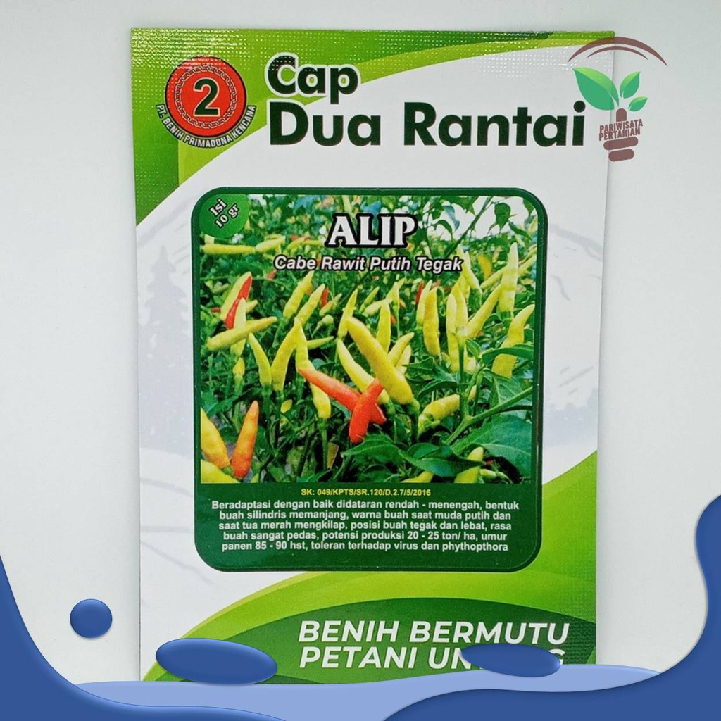 Benih Bibit Cabai Rawit Cabe Rawit Chili Pepper unggul ALIP ASLI INDONESIA