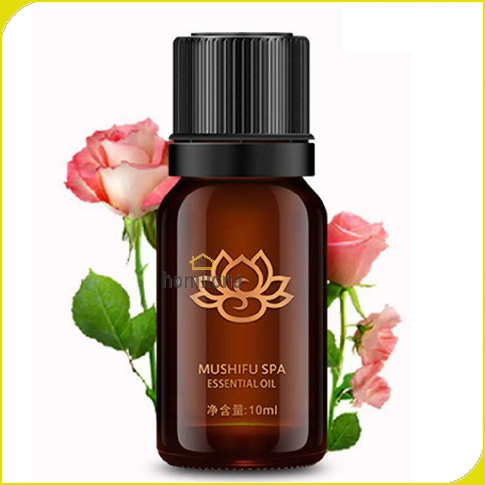 Pure Essential Fragrance Oils Minyak Aromatherapy 10 ml - MUSHIFU SPA MS10