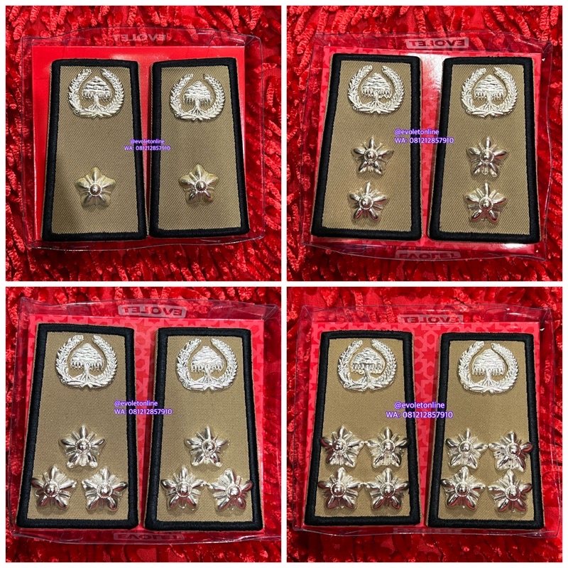 pangkat ASN PNS lampung golongan 3A 3B 3C 3D evolet exclusive