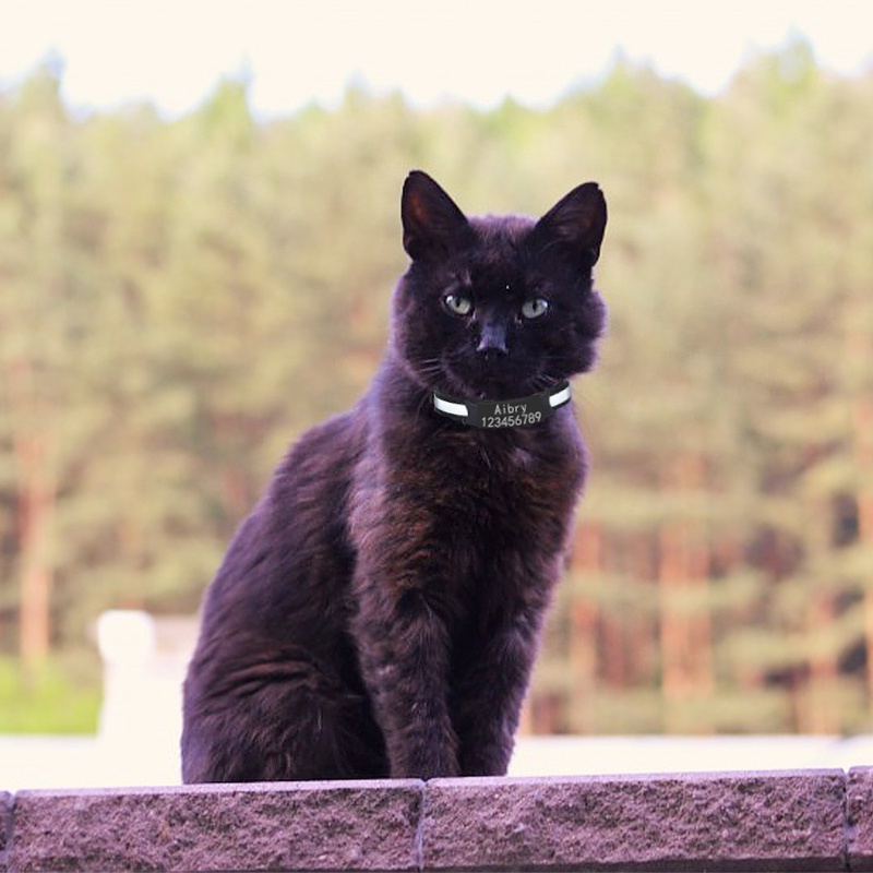 Kalung Leher Kucing Bahan Nilon Dengan Lonceng