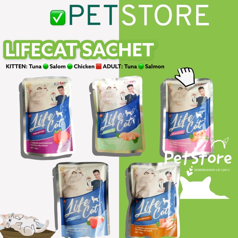 Life cat Pouch Adult &amp; Kitten Creamy BAIM WONG