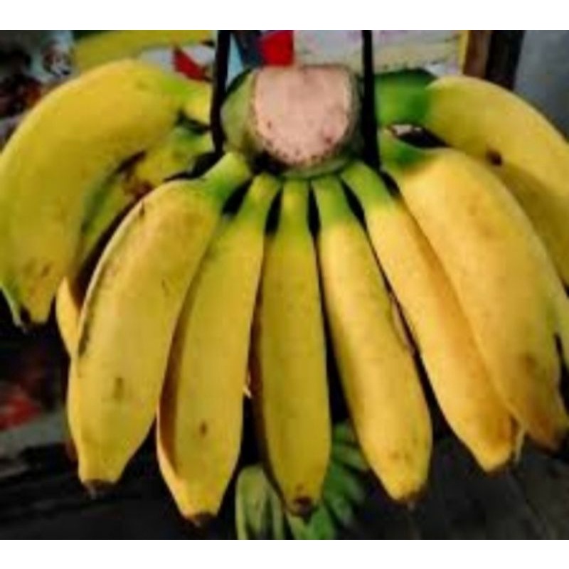 Jual Pisang Raja Super Manis Shopee Indonesia