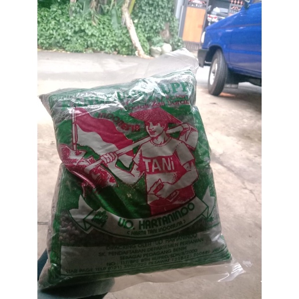 

biji kankung petani ukuran 1kg