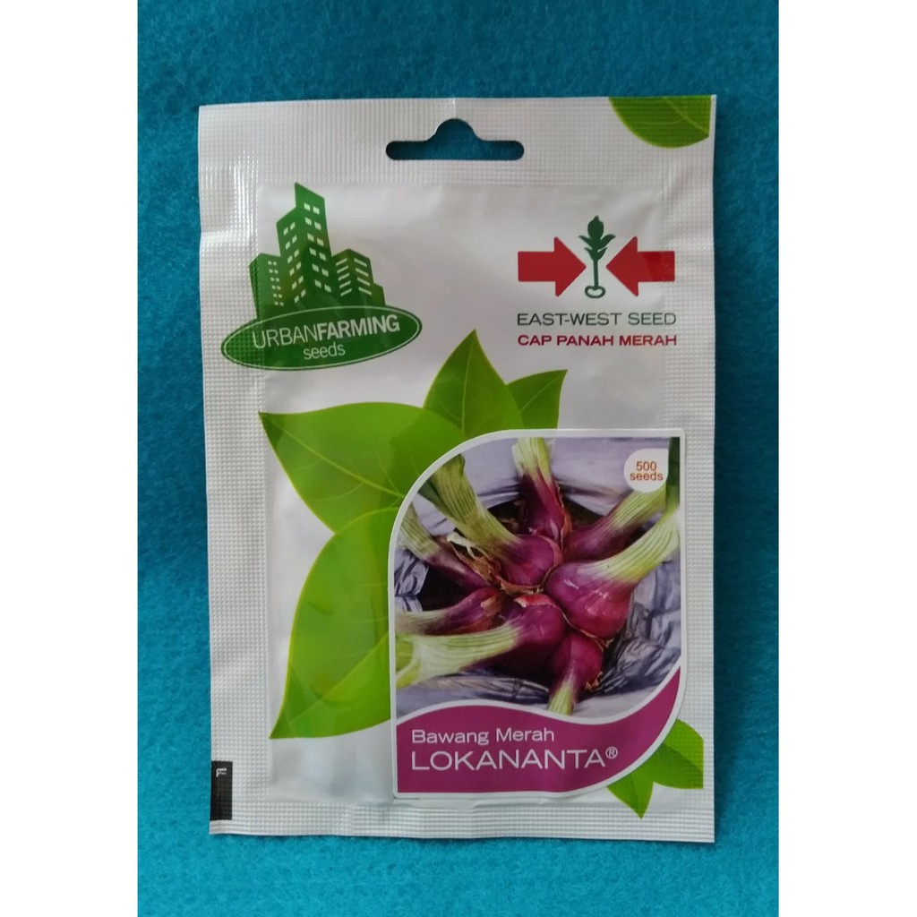 Benih Bawang Merah LOKANANTA
