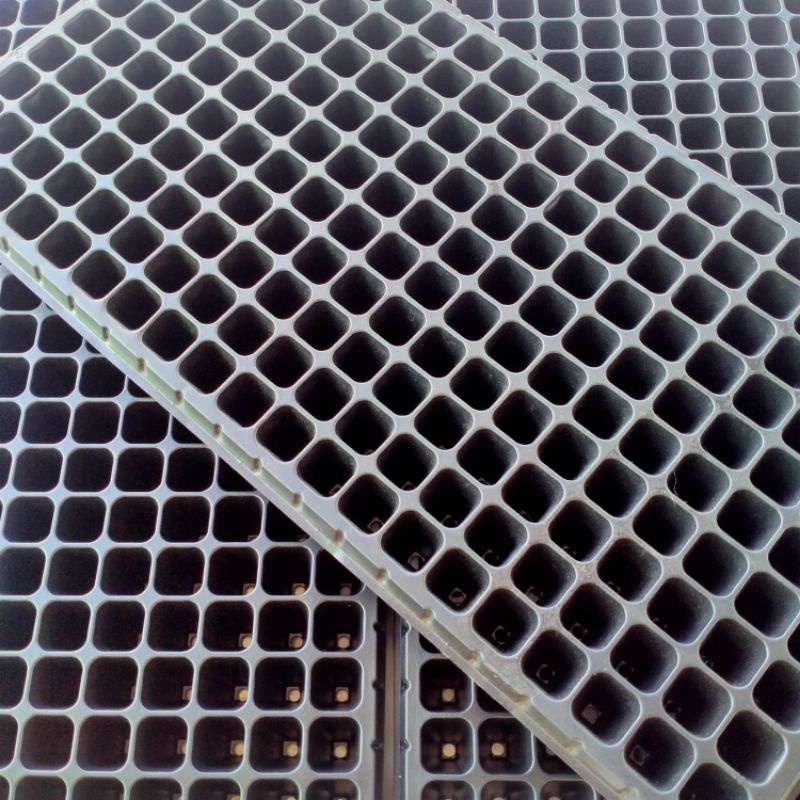 Pot tray_Tray semai 200 hole/lubang