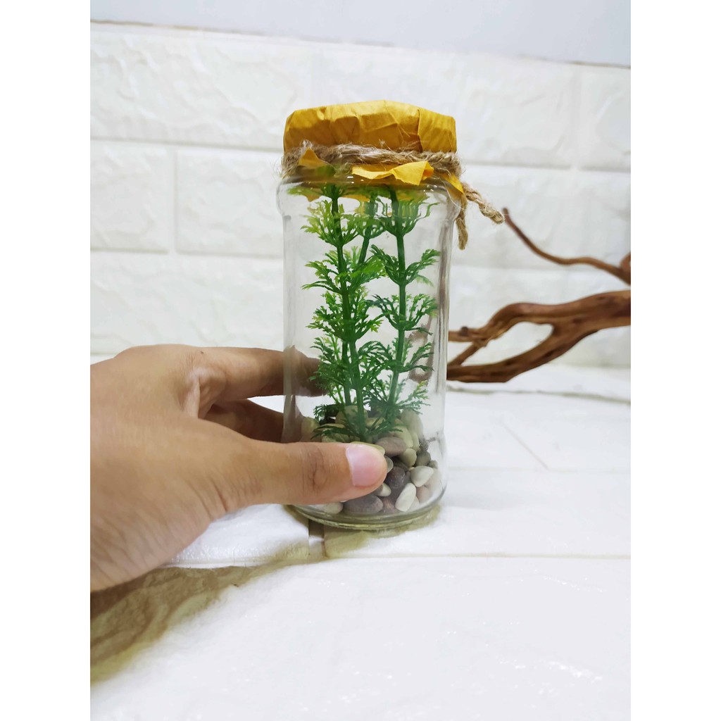 Pajangan Kaca Hutan Bambu Hiasan Miniatur Cantik Hadiah