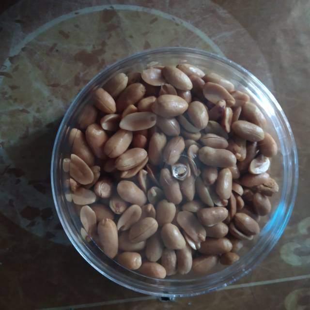 

Kacang bogares