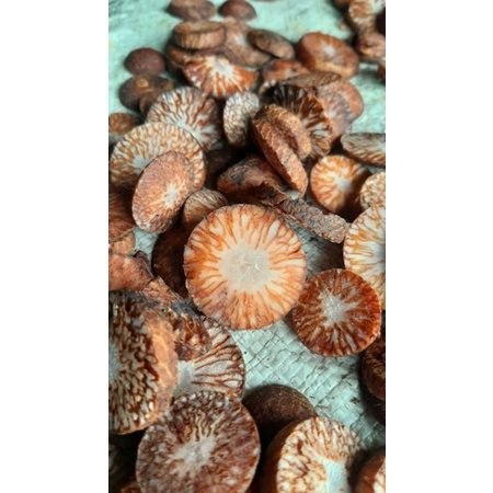 Alat Pembuka Pinang Bulat/pinang iris