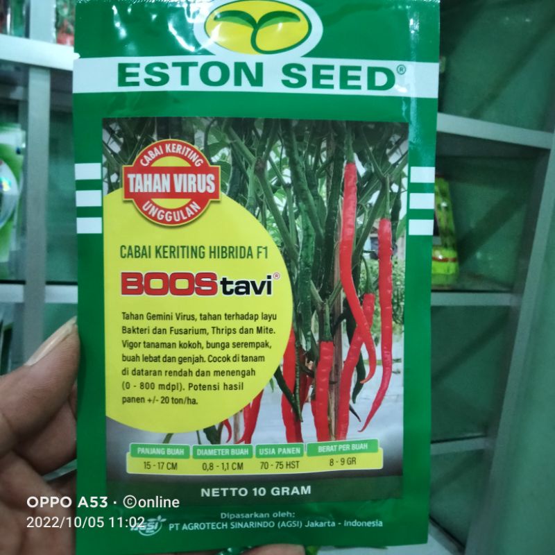 

benih cabai BOOS TAVI F1 cabai keriting hibrida buah besar tahan virus BOS TAVI BOSS TAVI
