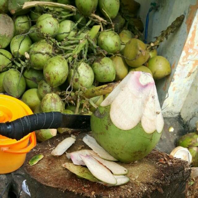  Makanan Sehat Kelapa  Hijau Kelapa  Ijo Kelapa  Merah 