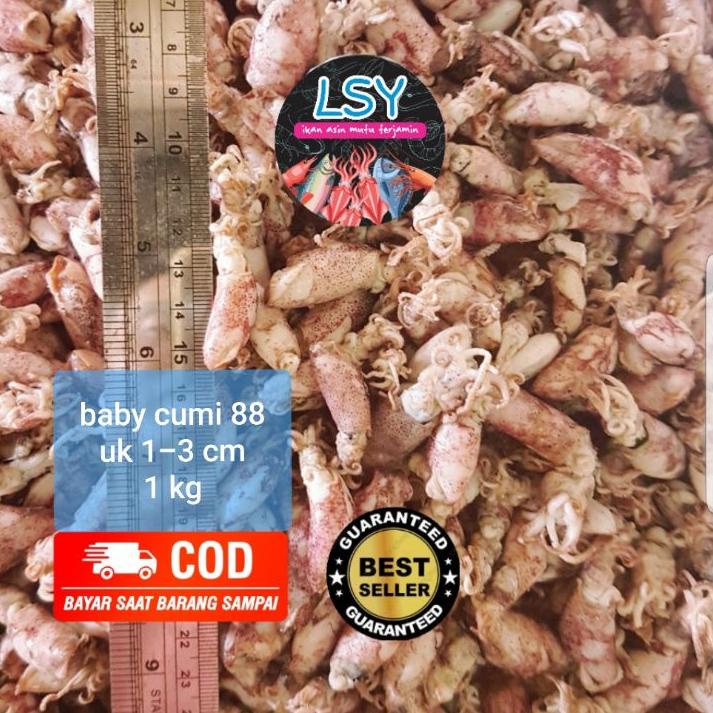 

Viral 12.12 ikan asin baby cumi / cumi rebus kering 88% 1kg 이