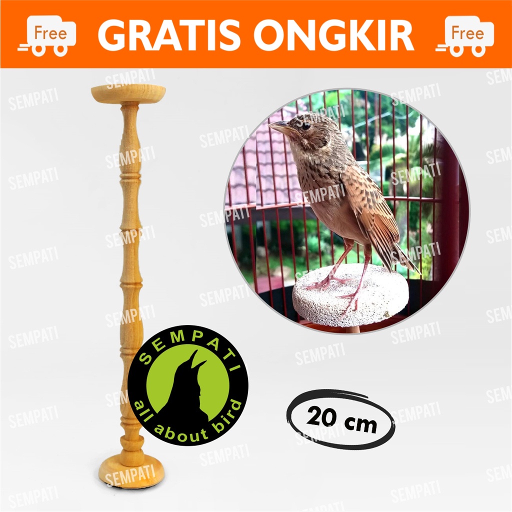 TANGKRINGAN BRANJANGAN 20 CM KAYU BATU APUNG SANGKAR KANDANG BURUNG BRANJANGAN TBJ20