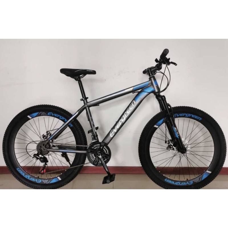 Instan Sepeda MTB Evergreen 26 inch 540 SNI sepeda gunung Termurah bisa kredit bisa gojek langsung kirim instan-2