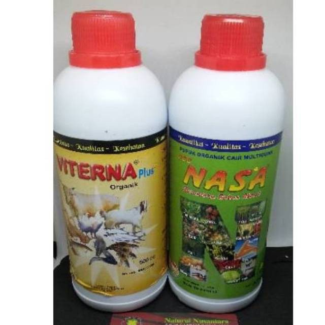 BUDIDAYA AYAM PETELUR / POC NASA / VITERNA NASA