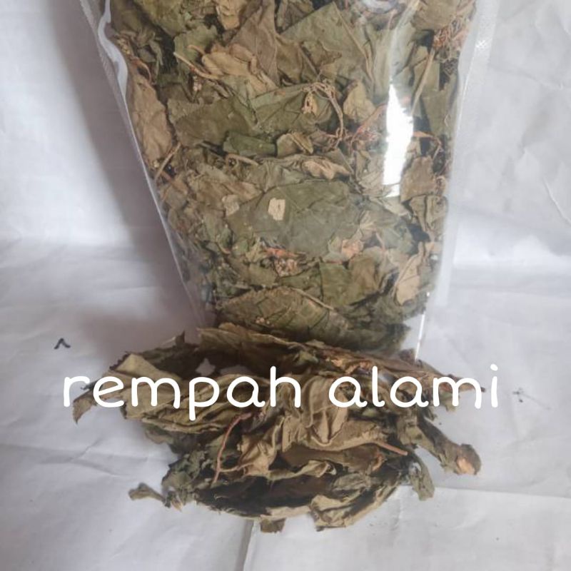 

Daun jati belanda kering 100/200gr