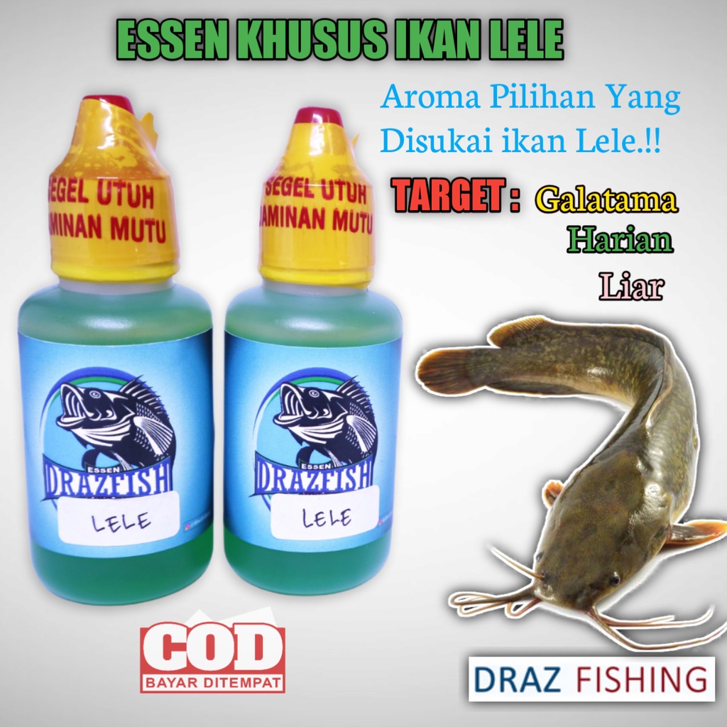 Essen Ikan Lele Galatama Dan Harian Paling Gacor