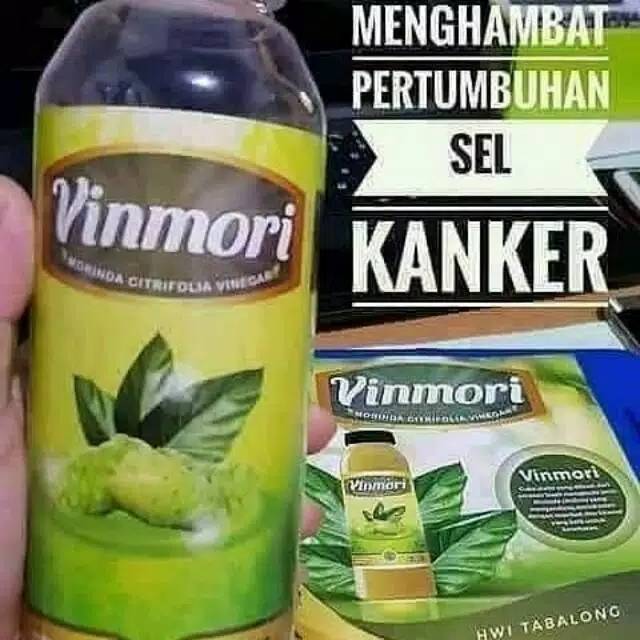 

minuman cuma mengkudu bisa menyembuhkan berbagai penyakit