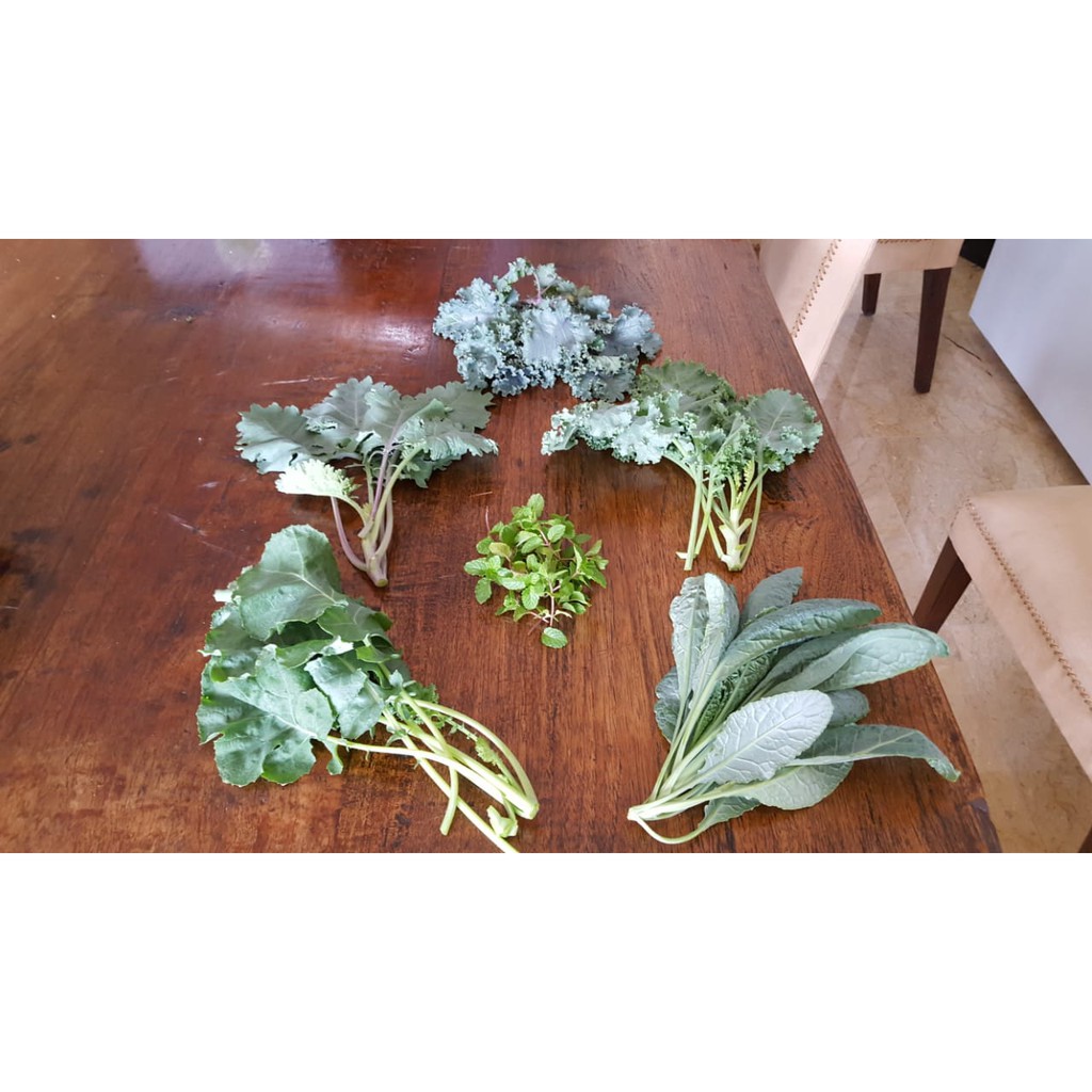 Jenis Sayur Kale Robert Alsop