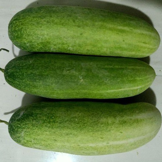 

timunfresh 1 kg