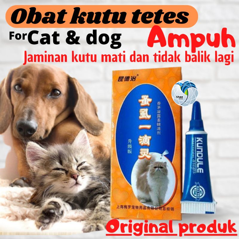 Obat Kutu Tetes Kucing Anjing Obat anti kutu Pembasmi kutu