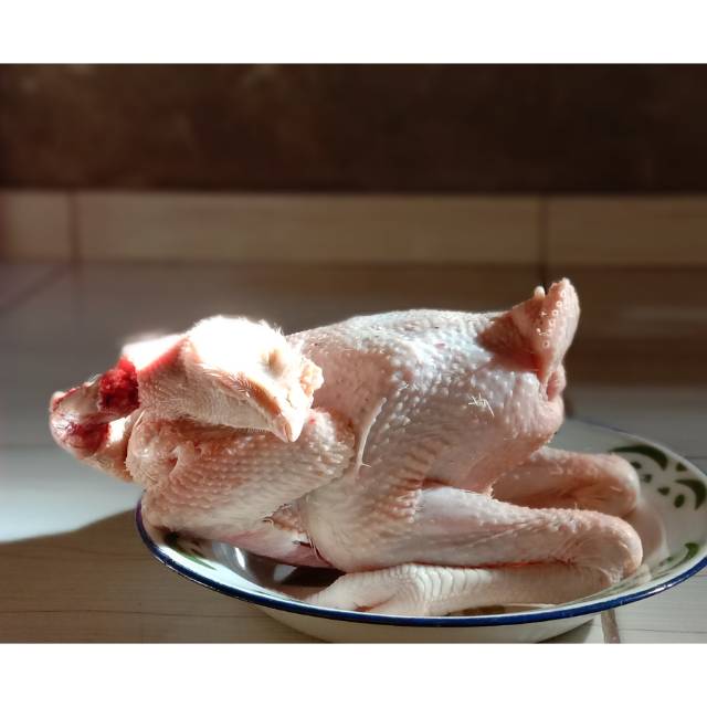 

Ayam Kampung Potong bersih