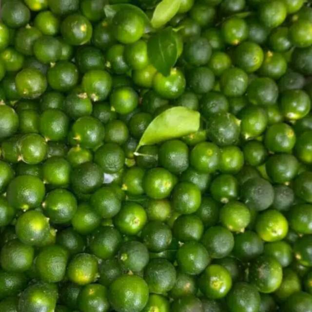 

JERUK KUNCI/ KASTURI/ SONGKIT 1kg