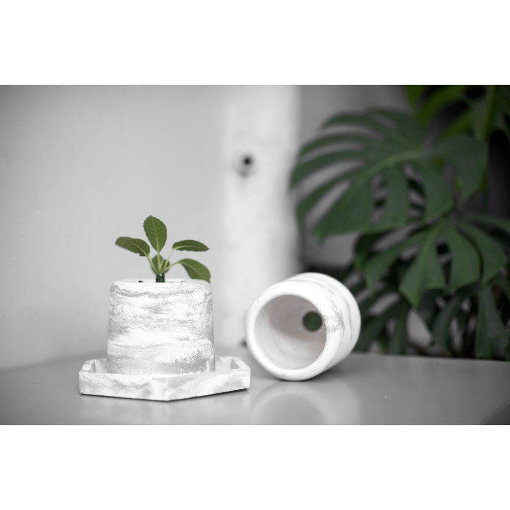 Pot bunga semen pot bunga tanaman indoor pot kaktus /  AUBREY