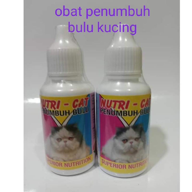 Obat Penumbuh Bulu Kucing NUTRICAT/Obat Hewan