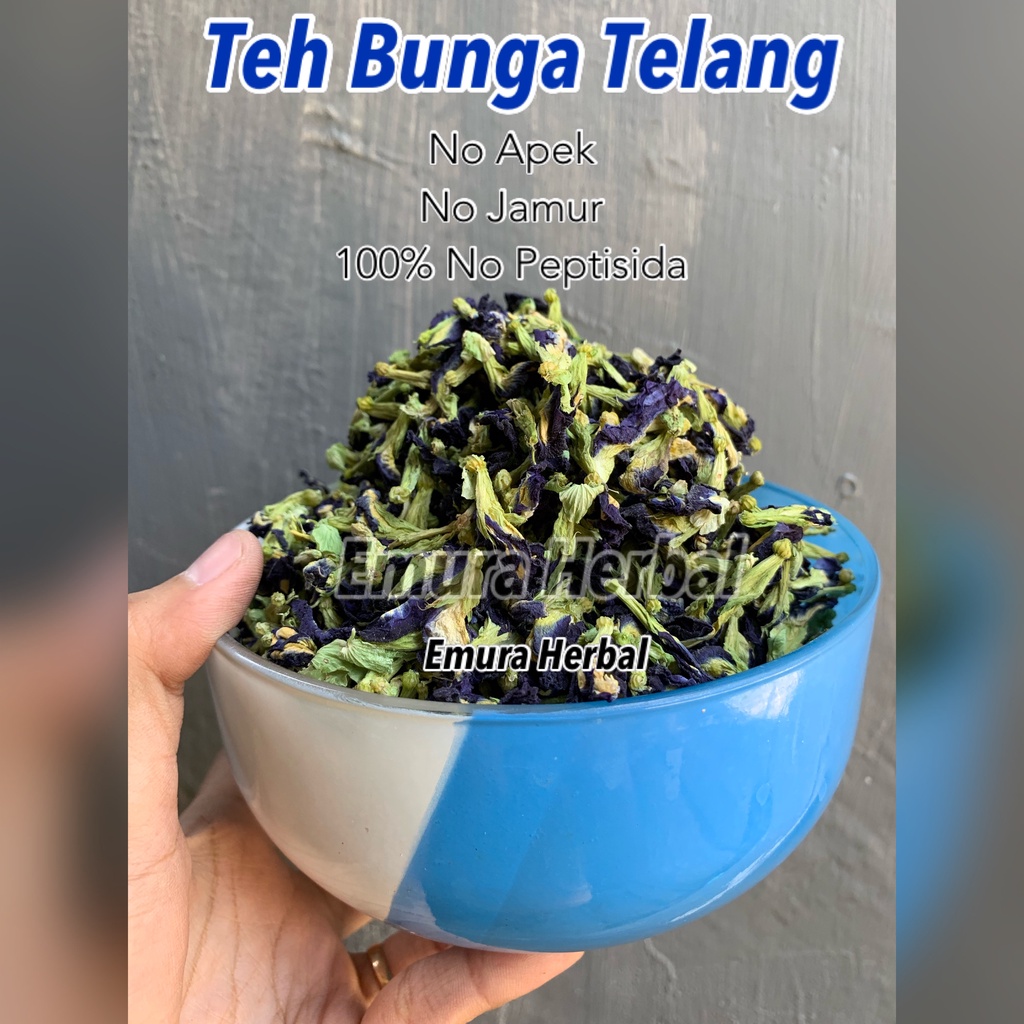 BUNGA TELANG ORGANIK 1 Kg/Teh Bunga Telang Kering/Teh Biru/ Butterfly Pea / Obat Asma