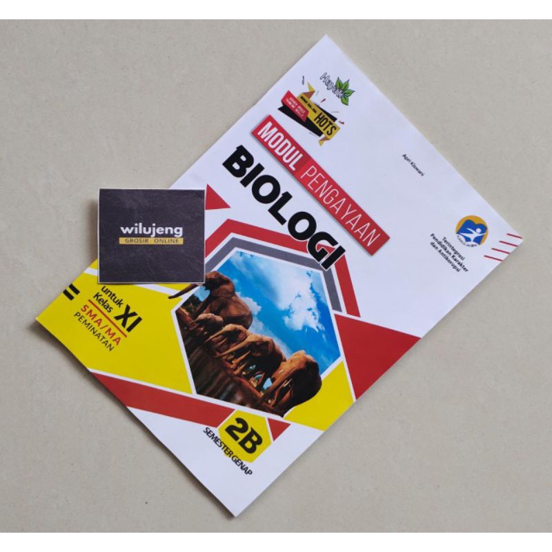 LKS & Pegangan Guru Biologi SMA MA Hayati Semester Genap Edisi 2021/2022 (290gr)-Siswa Kelas 11