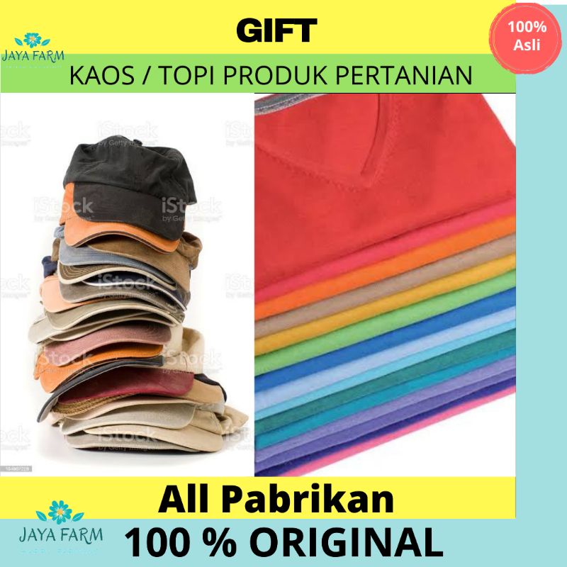 KAOS & TOPI PERTANIAN (GIFT)