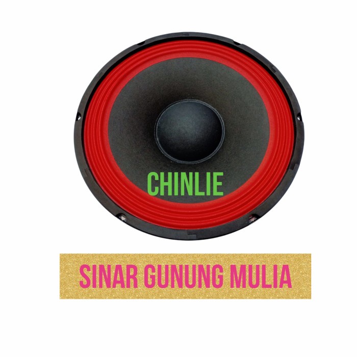 speaker full range 12 inch elsound original