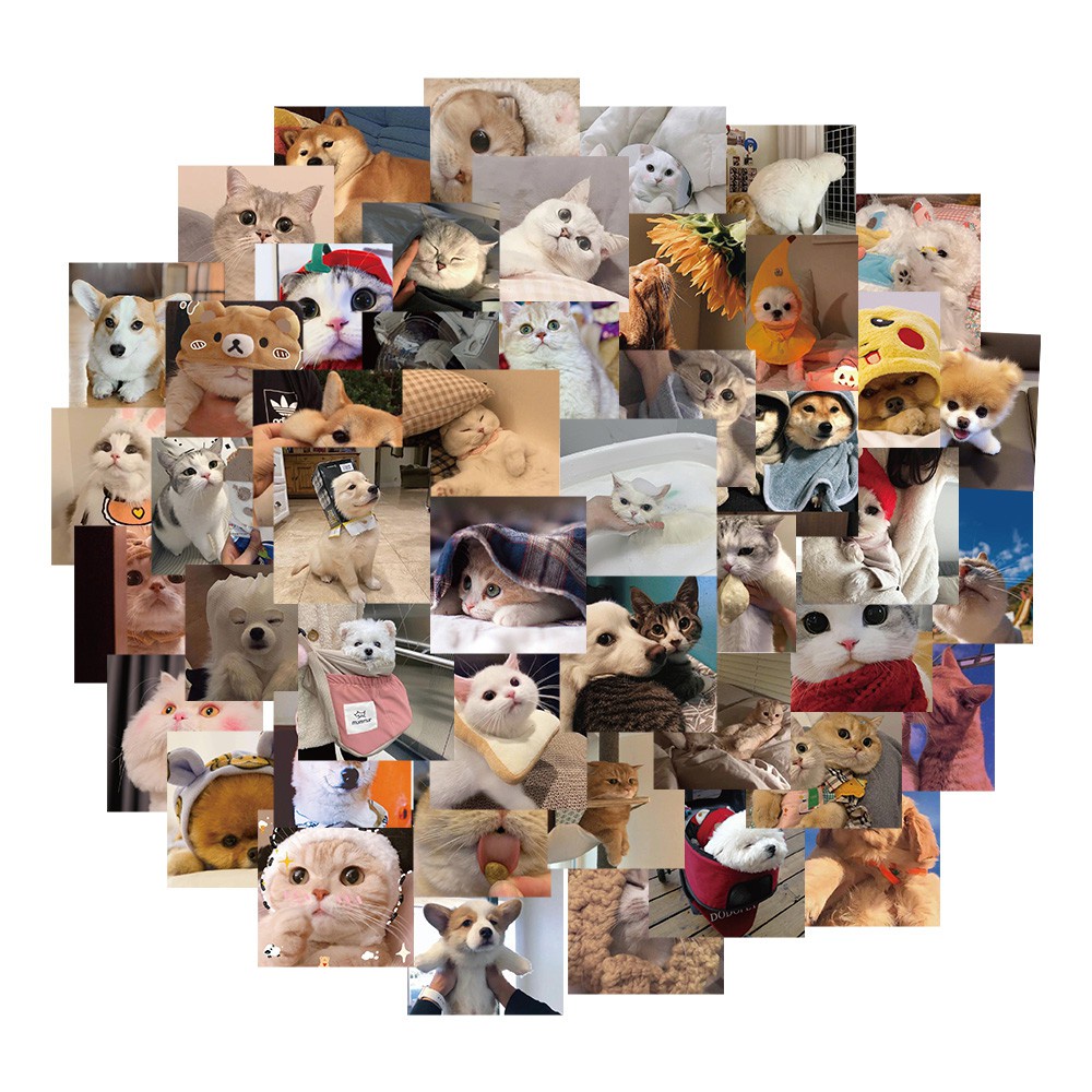 48PCS Cute Dog Cat Animal Sticker Decoration Diy Scrapbooking Sticker Stationery Kawaii Diary Label Sticker