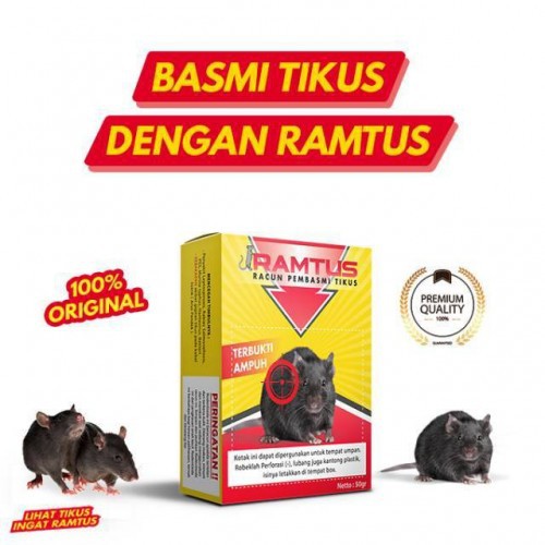 

Racun Tikus Ramtus Pembasmi Tikus Dan Obat Tikus Ampuh Mati Di Tempat