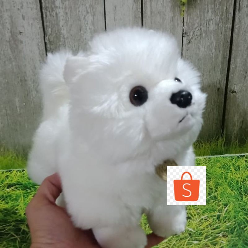 Promo Boneka Anjing Mini Pom Putih Keren Shopee Indonesia