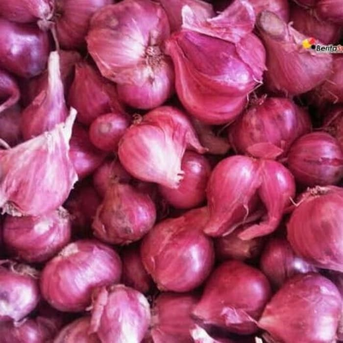 

Bawang Merah Ukuran Campur - 1 kg / bawang merah bagus / bawang merah gurih