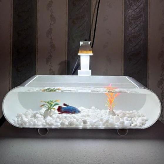 Terbaru Aquarium Mini Ikan Hias /Ikan Cupang Soliter Akrilik  Pipa Pvc