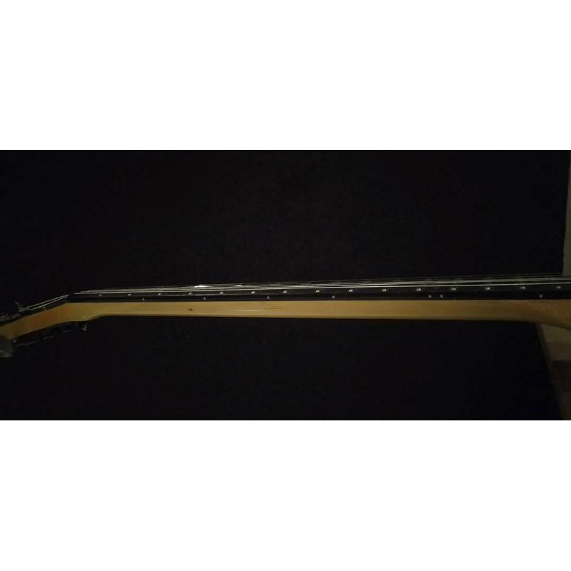 Schecter SGR solo