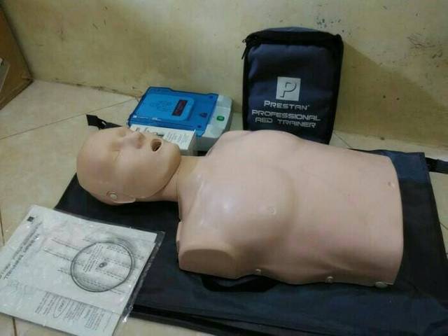 Prestan dewasa cpr prestan manekin prestan dewasa made in USA manikin rjp