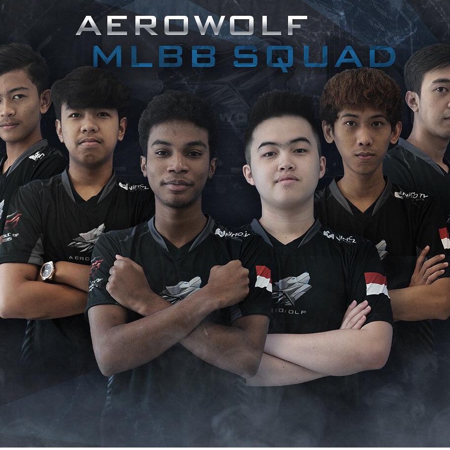 Baju Kaos Jersey Gaming AEROWOLF PUBGM & ML Free Nickname