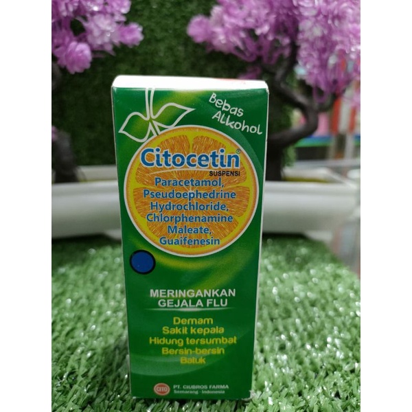 CITOCETIN