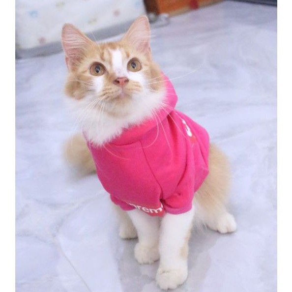 Kaos Hoodie Supreme kode #002 lucu untuk kucing &amp; anjing / baju kucing murah size S-XL