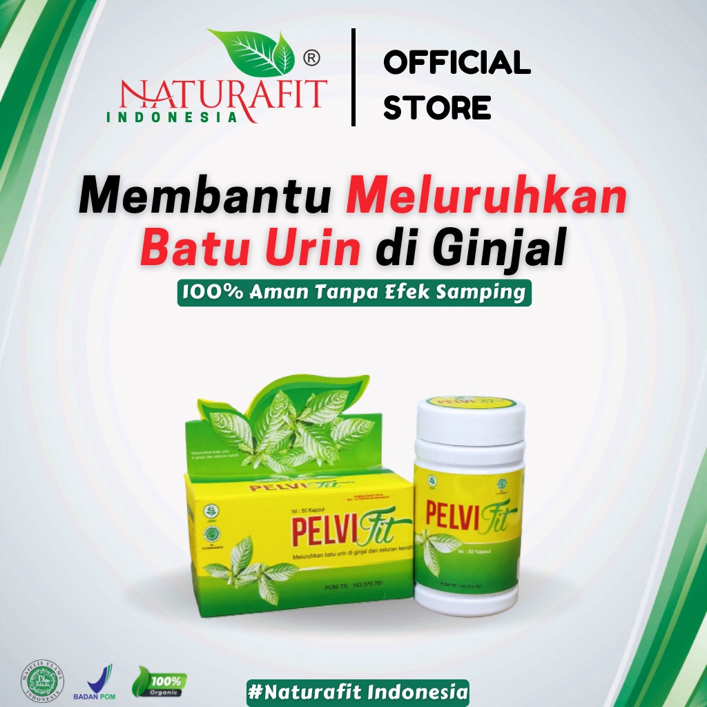 Obat Herbal Batu Ginjal, Batu Empedu, Peluruh Batu Ginjal Pelvifit Naturafit