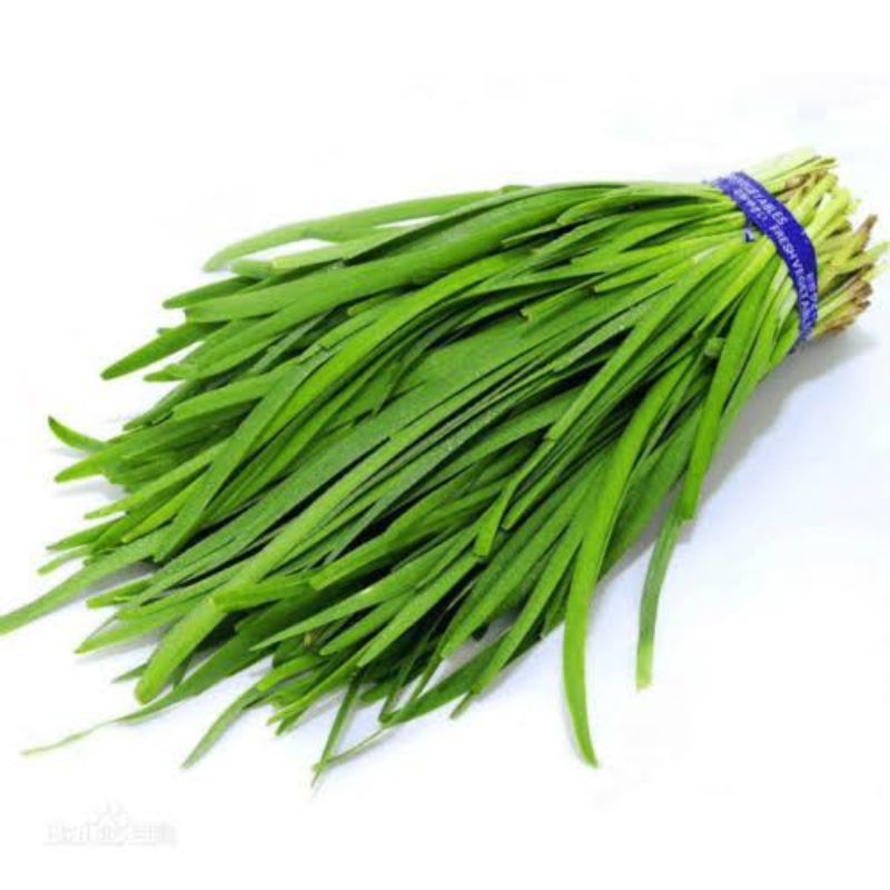 

BSM | TERMURAH Daun Kucai Segar 500gr - 1kg / Daun Kucai / Sayur Kucai | Sayur online