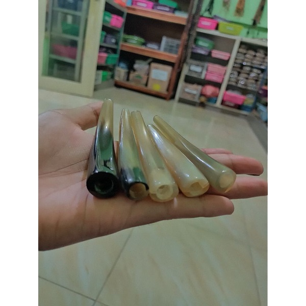 once pipa rokok tanduk sapi bule